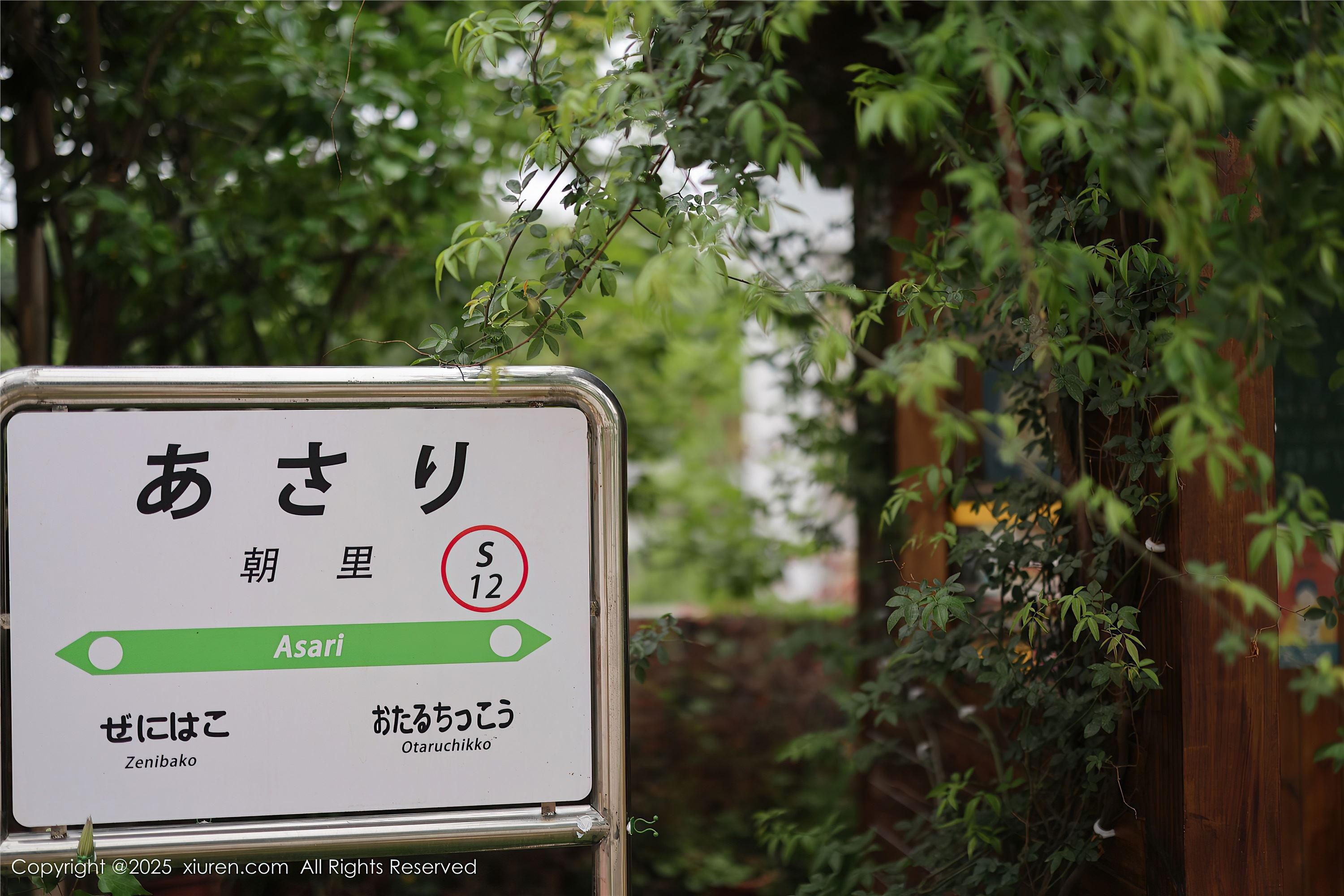 Xiuren秀人网 2025.04.29 NO.10215 茂木希子